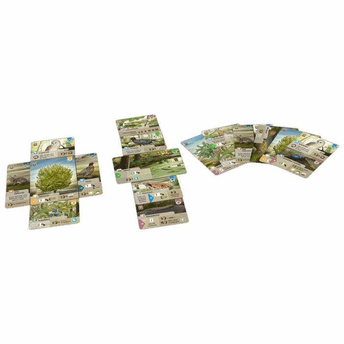 Forest Shuffle Dartmoor - Imagen 3